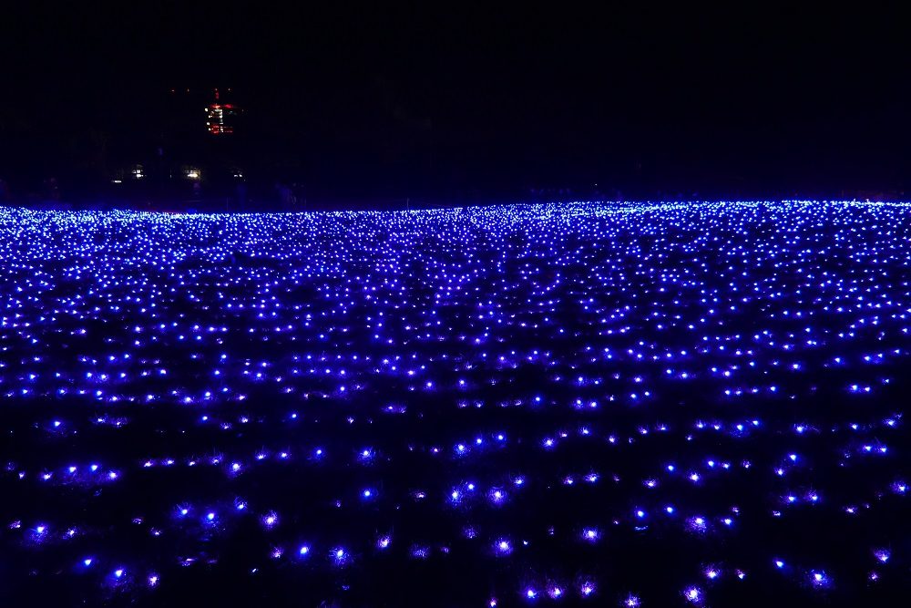 Zu sehen ist eine Fläche aus blauen Lichtern in der Dunkelheit im Botanischen Garten in Berlin.