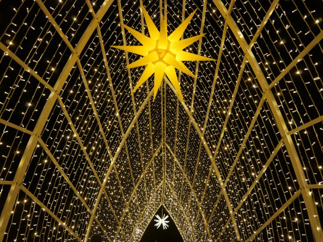 Zu sehen ist ein Sternentunnel im Botanischen Garten in Berlin.