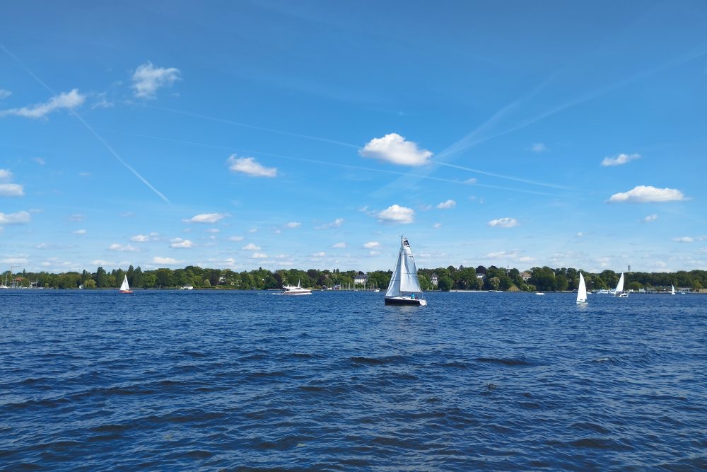Wannsee an einem strahlenden Sommertag mit Segelschiffen und blauem Himmel.