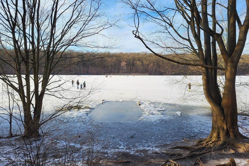 Berlin Schlachtensee vereist mit einem Loch zum Baden.